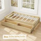 Twin Size Captain Bed w/ 2 Drawers Slats Support Twin Daybed