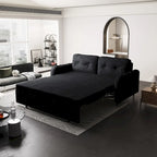 66.2  Queen Pull Out Sofa Bed with Storage and 2 Soft Pillows